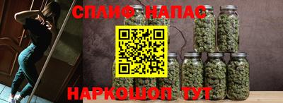 наркотики Гай