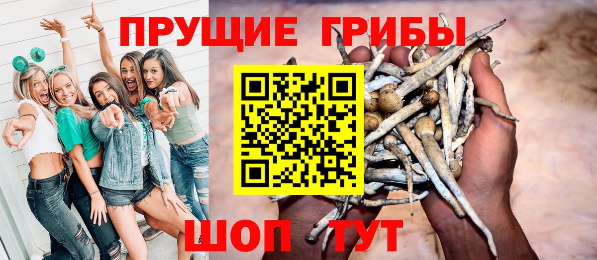 Галлюциногенные грибы мицелий Тельмана